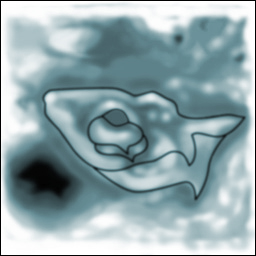 Heightmap in the shape of a ferret's head